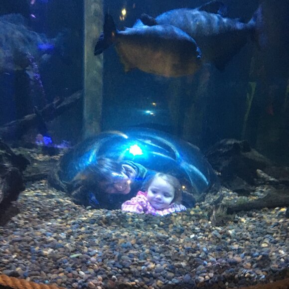 Meet your Posher, Jo - Picture 1 of 1